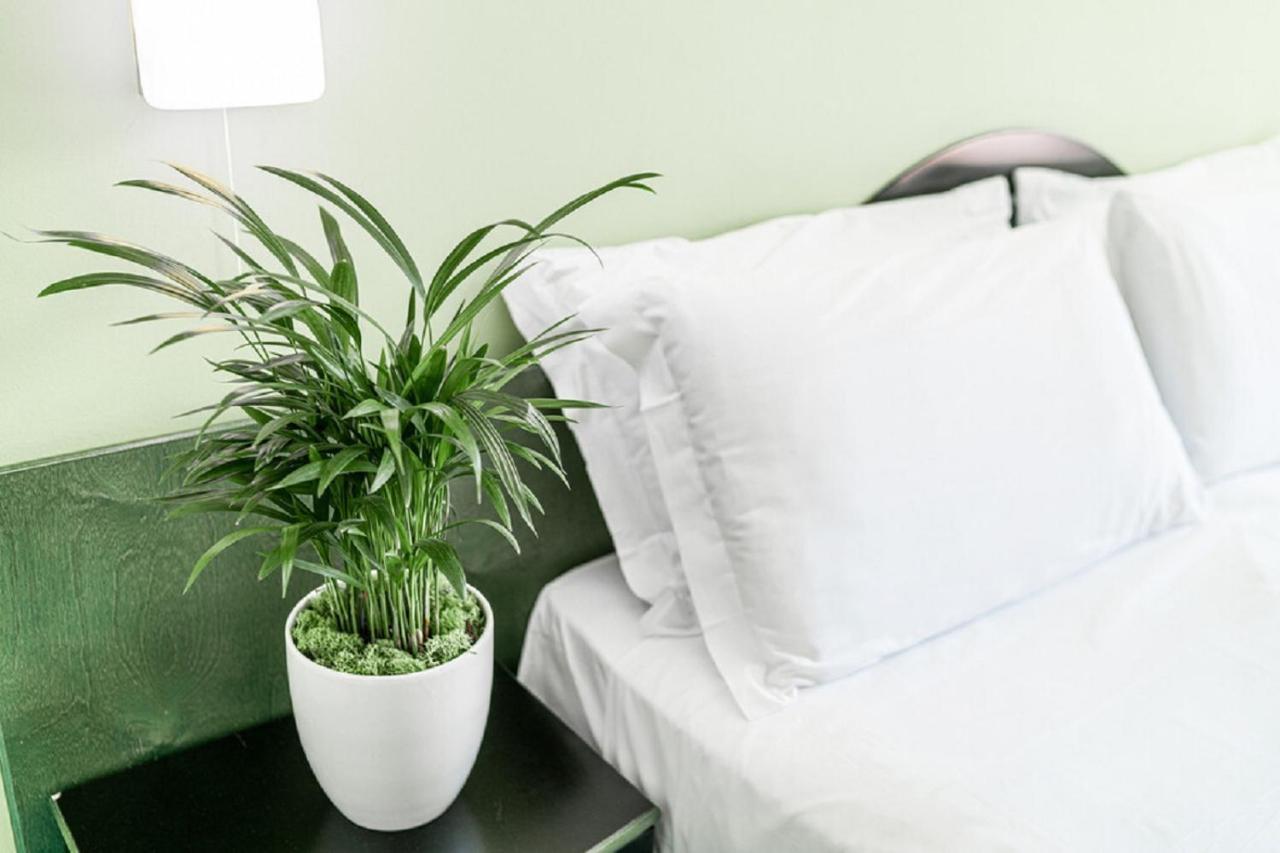 Hotel Medusa Splendid 리그나노 사비아도로 외부 사진